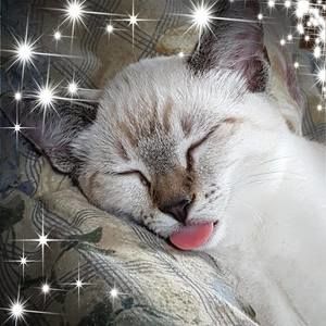 Meet your Posher, Brenda